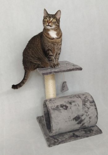 DRAPAK 25 z tunelem na Arena.pl