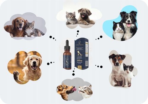 Olejek CBD 3% 11ml | Dla Zwierzat | Dla Psa| Dla Kota | Weterynaryjny na Arena.pl