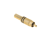 WTY0068 Wtyk RCA zloty dwa paski czarne