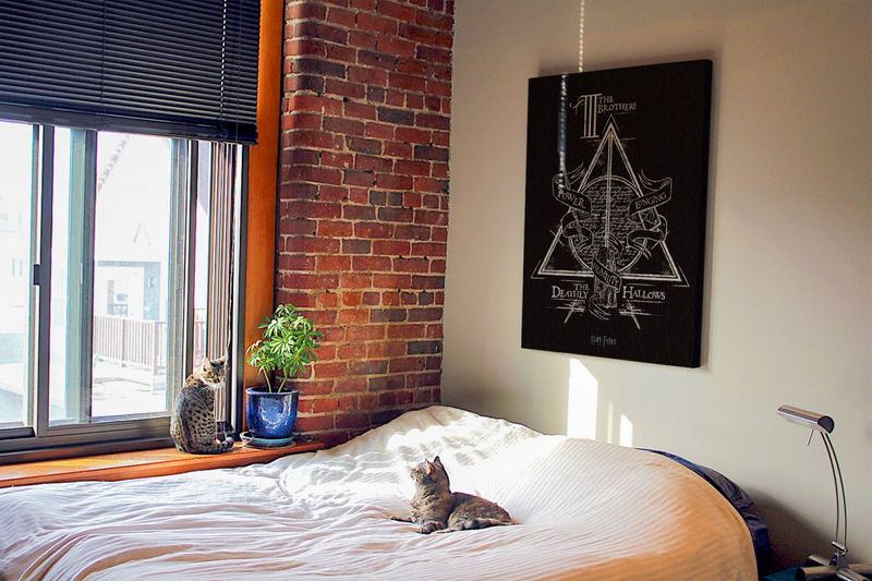 Harry Potter Deathly Hallows - obraz na płótnie 60x80 cm zdjęcie 3