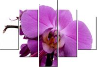 70 100CM OBRAZ 5 ELEM FIOLETOWY STORCZYK DRUK PŁÓTNO