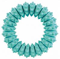 Gryzak dentystyczny dla psa zabawka na zęby - Trixie Ring pierścień 12cm