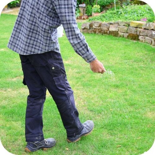 NAWÓZ DO TRAWY COMPLEX 25 KG TRAWNIKA TRAWNIKÓW ROSAFERT NPK 12-12-17 na Arena.pl