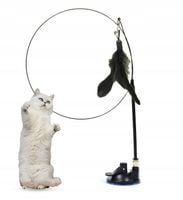 WĘDKA DLA KOTA z przyssawką ZABAWKA interaktywna czarne piórko6