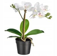 IKEA FEJKA sztuczny storczyk orchidea biała 28cm