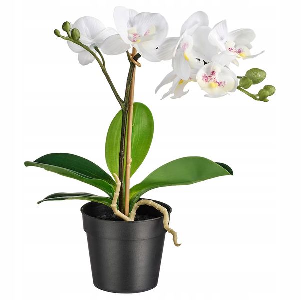 IKEA FEJKA sztuczny storczyk orchidea biała 28cm zdjęcie 1