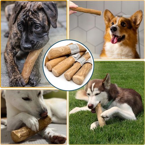 PATYK Z DRZEWA KAWOWEGO S NATURALNY KAWOWY GRYZAK DLA PSA WYTRZYMAŁY MAŁY na Arena.pl