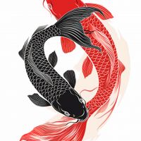 Plakat 80x80cm Yin i Yang Koi
