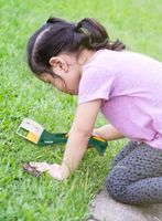 Lupa dla dzieci Carson BugView One Hand 5x Bug Catche - zielona