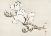 Plakat 35x25cm Magnolia, Kōno Bairei Japoński Vintage do Salonu