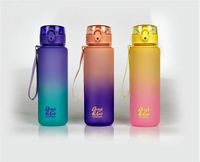 BIDON BRISK 600 ML GRADIENT MIX COOLPACK