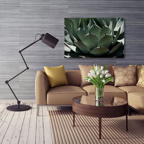 Obraz na płótnie - Canvas, Agawa 3 50x40 na Arena.pl