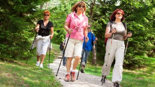 KIJE TREKKINGOWE DO NORDIC WALKING LINE SPORT REGULOWANE LEKKIE SREBRNE na Arena.pl