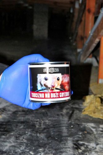 NAJMOCNIEJSZA TRUCIZNA NA DUŻE GRYZONIE STRONG na Arena.pl