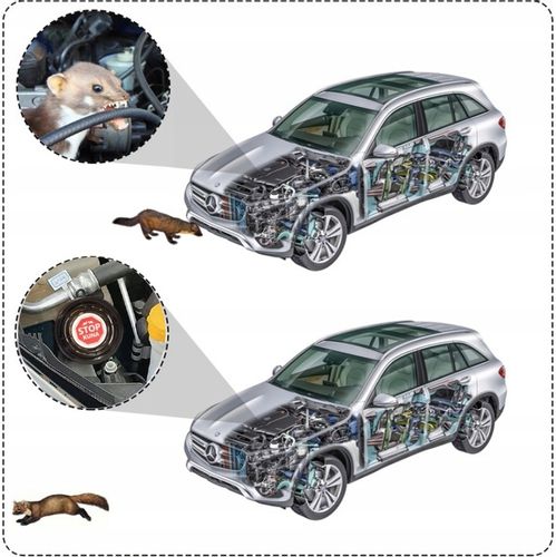 Nowość! KUNA STOP! Profesjonalny preparat NA KUNY! na Arena.pl