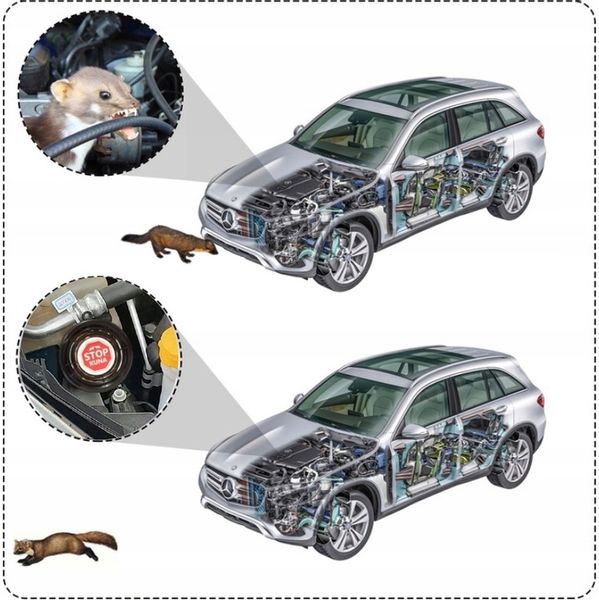 Nowość! KUNA STOP! Profesjonalny preparat NA KUNY! zdjęcie 10