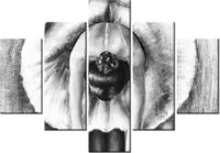 70 100CM OBRAZ 5 ELEM BALETNICA CZERNI BIELI DRUK PŁÓTNO