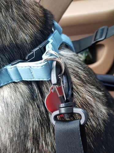 Transporter dla Psa Torba na Siedzenie Samochodu na Arena.pl