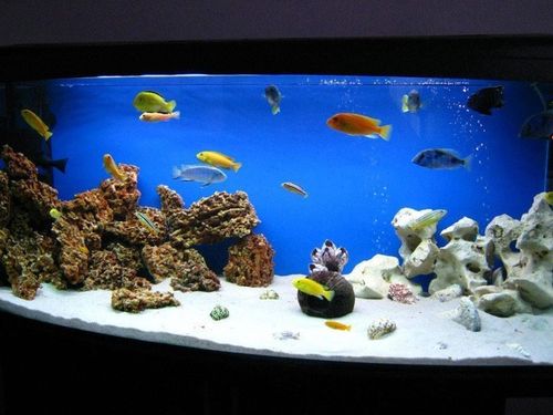 30 KG BIALY GRYS WAPIENNY DO AKWARIUM MALAWI 1-3mm na Arena.pl