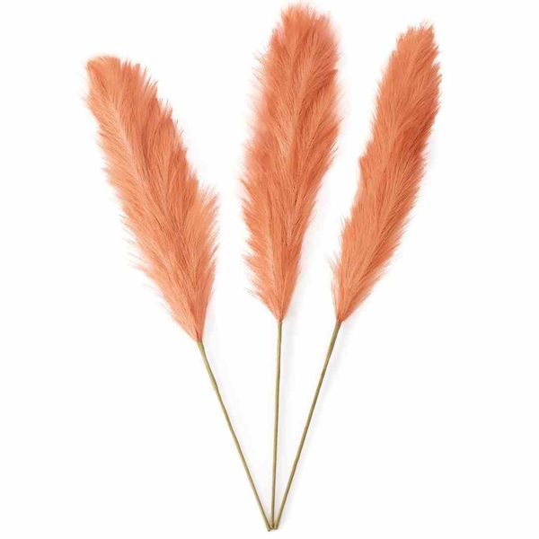 PAMPAS/AH/PAMPLY/PEACH/110CM/3PCS zdjęcie 4