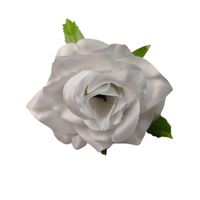 Różyczka wyr. mini white 24 szt