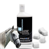 Equinova Haemoferan Liquid Suplement Witaminowy Z Żelazem 1L