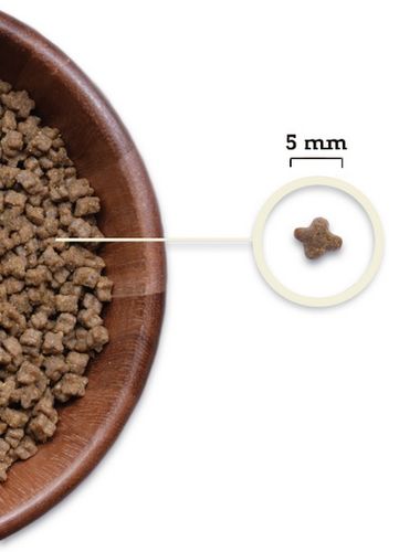 Acana Highest Protein Kitten 1,8kg na Arena.pl