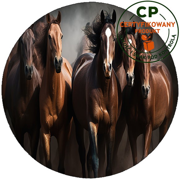 Opłatek na tort Konie zdjęcie 1