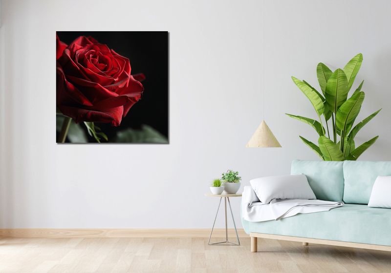 Obraz 90x90cm Róża w Półcieniu zdjęcie 2