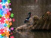 Puzzle tradycyjne Zwierzęta - Kaczka
