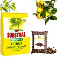 ZIEMIA PODŁOŻE DO CYTRUSÓW OLIWEK CYTRYNY OLEANDRA Z NAWOZEM +