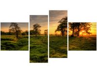 55 100CM OBRAZ 4 ELEM ZACHODZĄCE SŁOŃCE WŚRÓD DRZEW ŚCIENNY