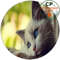 Opłatek na tort Koty