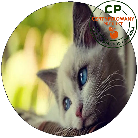 Opłatek na tort Koty zdjęcie 1