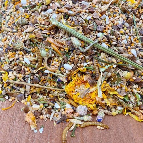 Mixerama | Zwergenzauber | Dla chomików 500g na Arena.pl