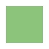 KARTON BRYSTOL A4-20 JASNOZIELONY KRESKA