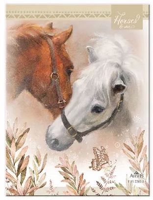 NOTES 9X12CM HORSES & ME ARGUS zdjęcie 1