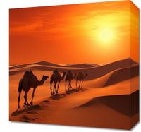 Obraz 40x40cm Karawana na Pustyni