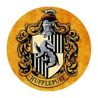 Przypinka Harry Potter