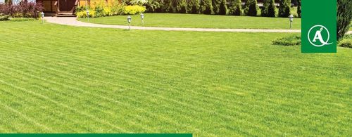 Nawóz do trawy uniwersalny YARA MILA Complex 5kg na Arena.pl