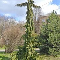 product-compare-57829979