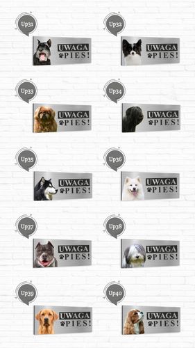 Tabliczka UWAGA PIES CAVALIER KING CHARLES SPANIEL na Arena.pl