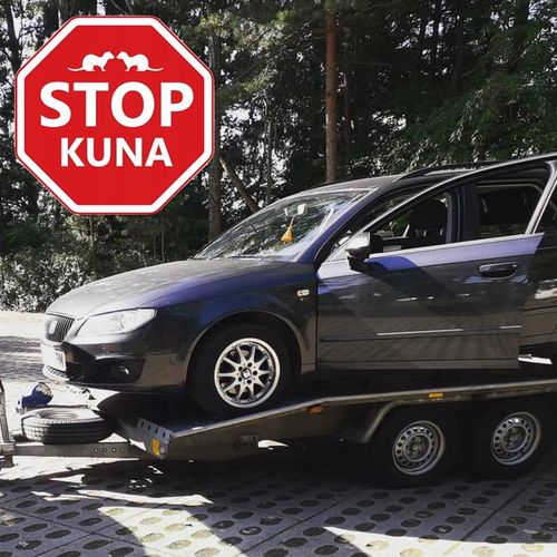 ODSTRASZACZ KUN SKUTECZNY NA ALLEGRO ŚRODEK NA KUNY DO SAMOCHODU na Arena.pl