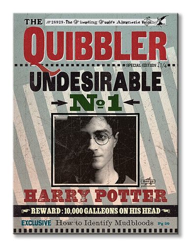 Harry Potter (Quibbler) - Obraz na płótnie 60x80 cm na Arena.pl