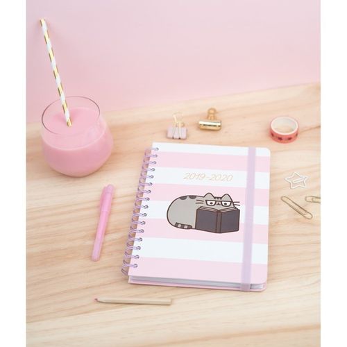 Pusheen - Planner 2019/2020 (14 x 16 cm) na Arena.pl