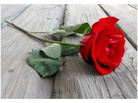 product-compare-58710281