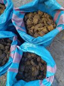 Nawóz ekologiczny koński obornik BEZ SŁOMY świeży do sadu ogrodu 50L