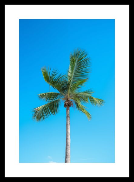 Plakat 20x30cm Wyżyny Nieba zdjęcie 3