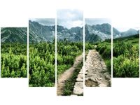 OBRAZ POLNA KAMIENISTA DROGA