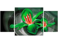 product-compare-58644355